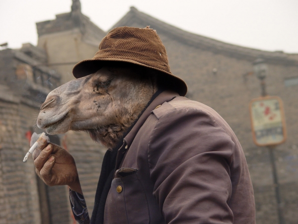 Creation of Smoking Camel: Step 7